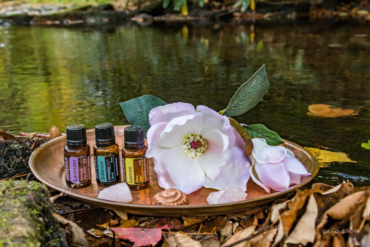 Magnolia Streamside Resort Canadensis Zewnętrze zdjęcie